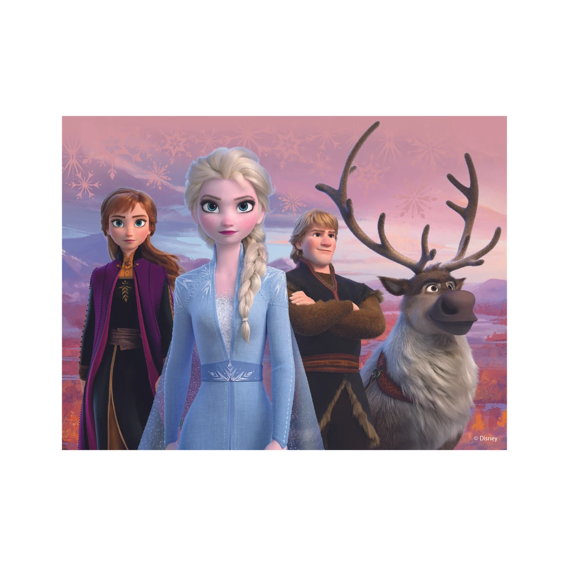 Dřevěné licenční kostky Frozen II – 12 kostek - slide 5