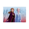 Dřevěné kostky Frozen II – 12 kostek - slide 8