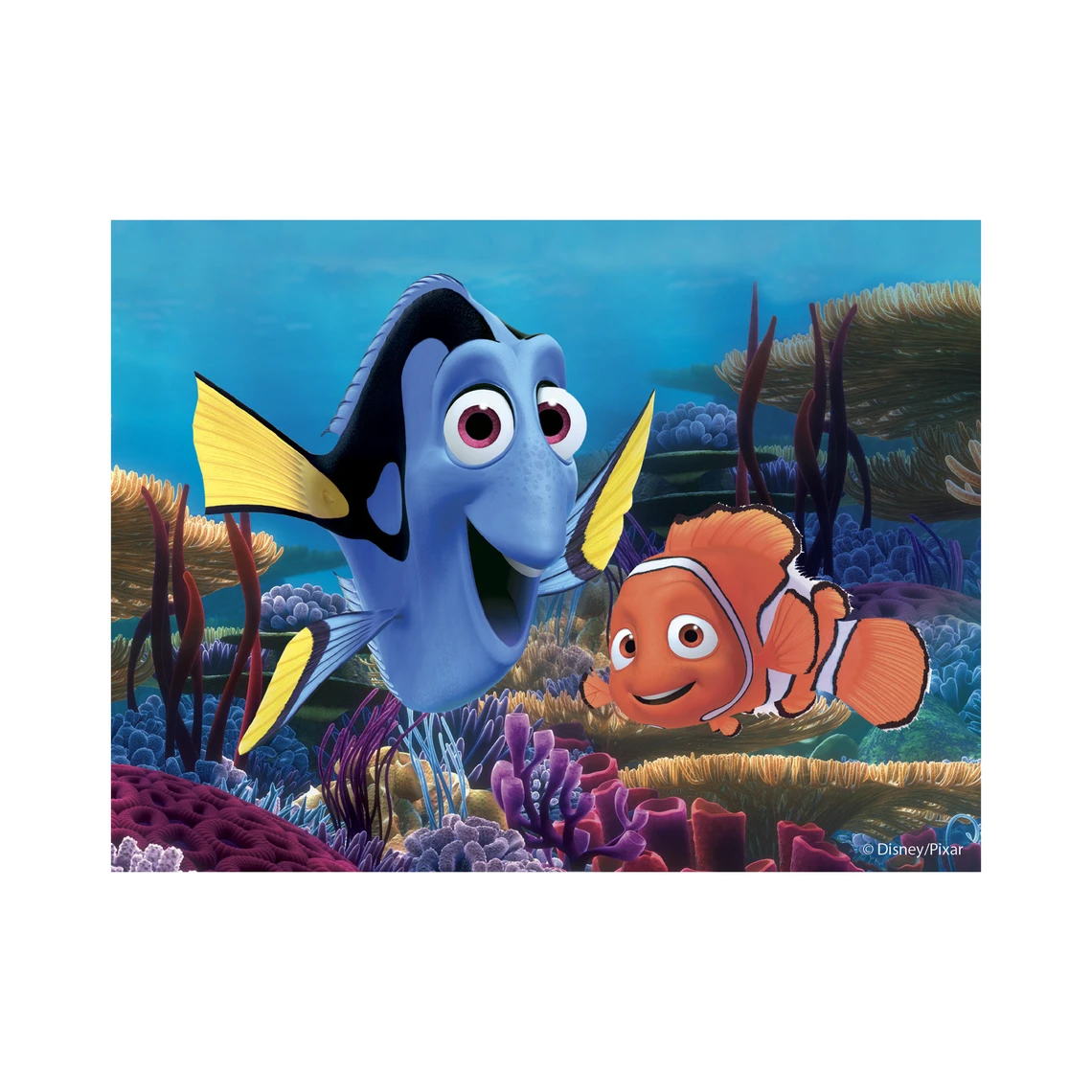 Dřevěné kostky Nemo – 12 kostek - slide 9