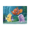 Dřevěné kostky Nemo – 12 kostek - slide 8