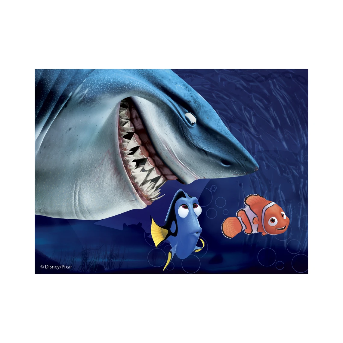 Dřevěné kostky Nemo – 12 kostek - slide 4