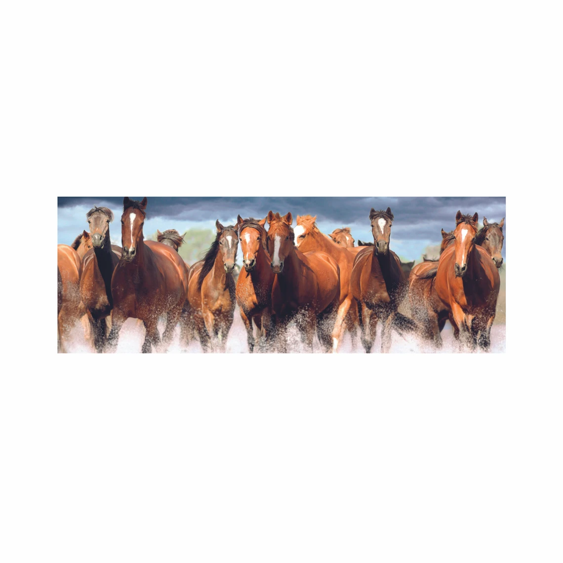 Puzzle Koně ve vodě 150 dílků panoramic - slide 3