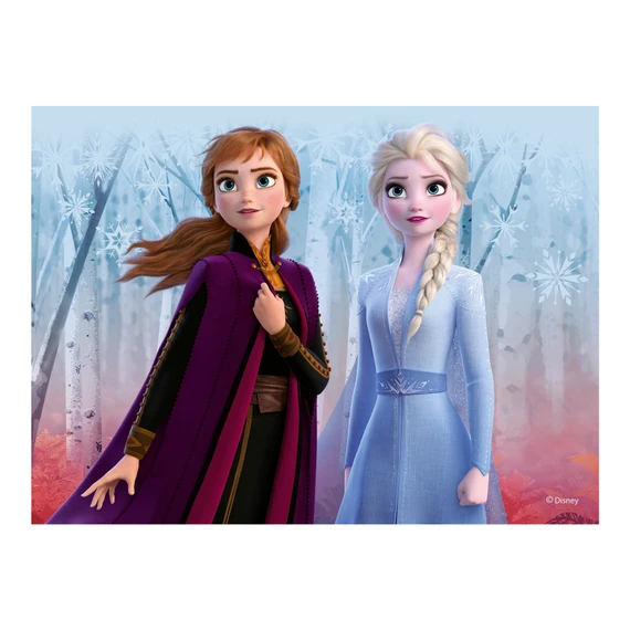 Dřevěné kostky Frozen II – 12 kostek - slide 7