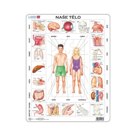 Naše tělo - Vzdělávací puzzle