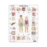 Naše tělo - Vzdělávací puzzle - slide 0