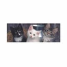 Puzzle Tři koťátka 150 dílků panoramic - slide 3