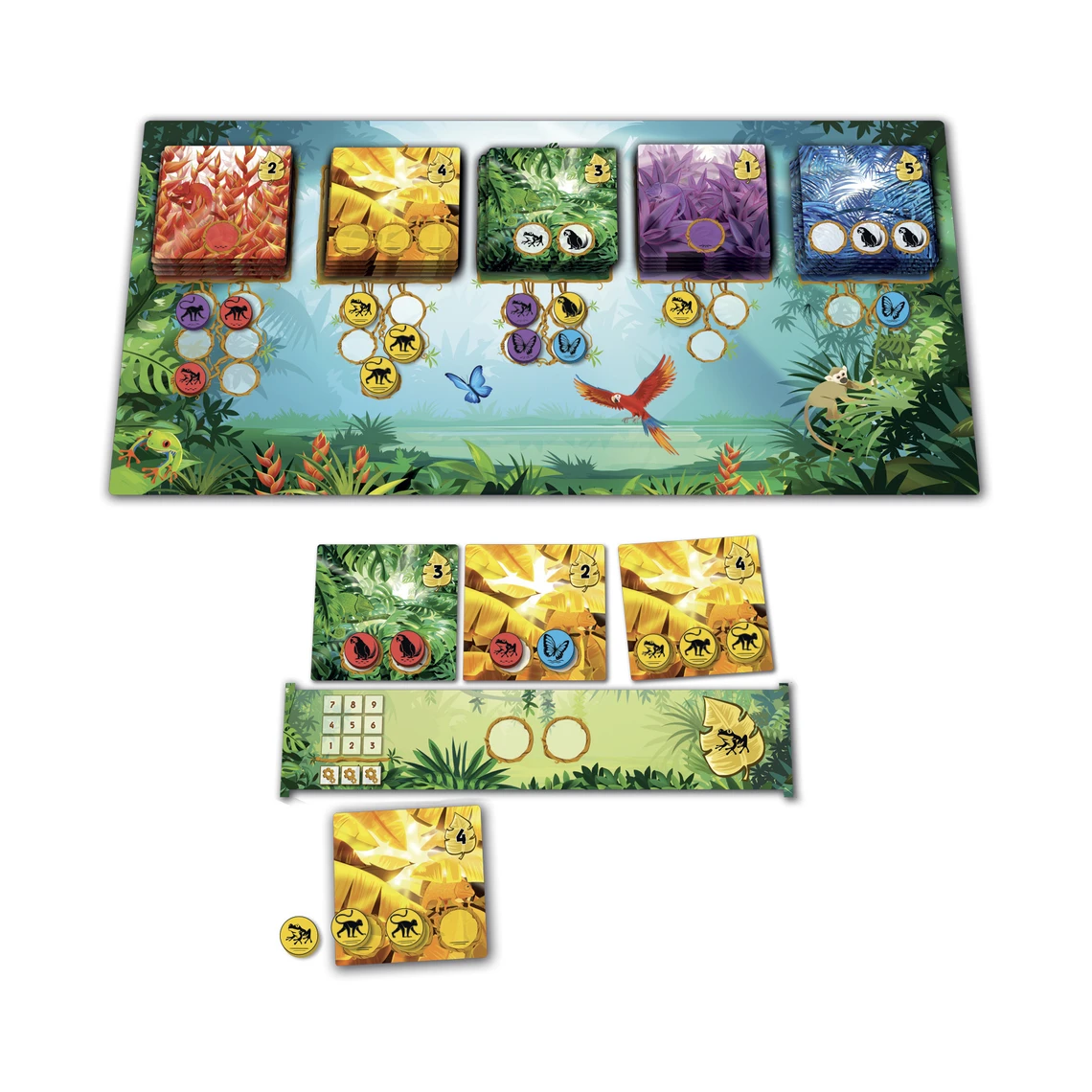 Rainforest - slide 7