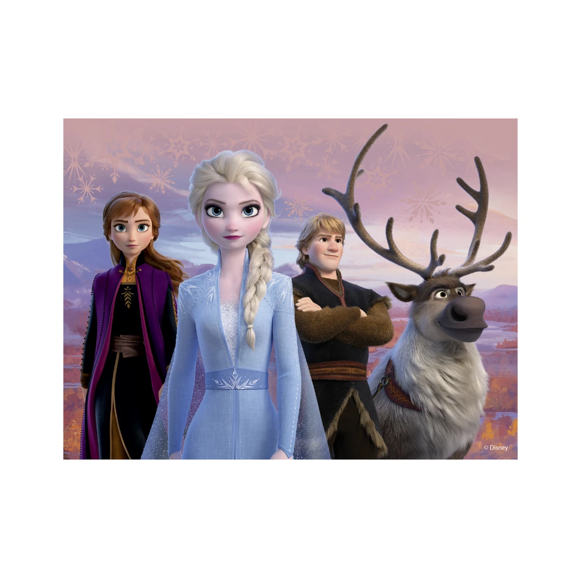 Dřevěné licenční kostky Frozen II – 12 kostek - slide 5