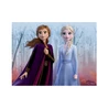 Dřevěné licenční kostky Frozen II – 12 kostek - slide 3