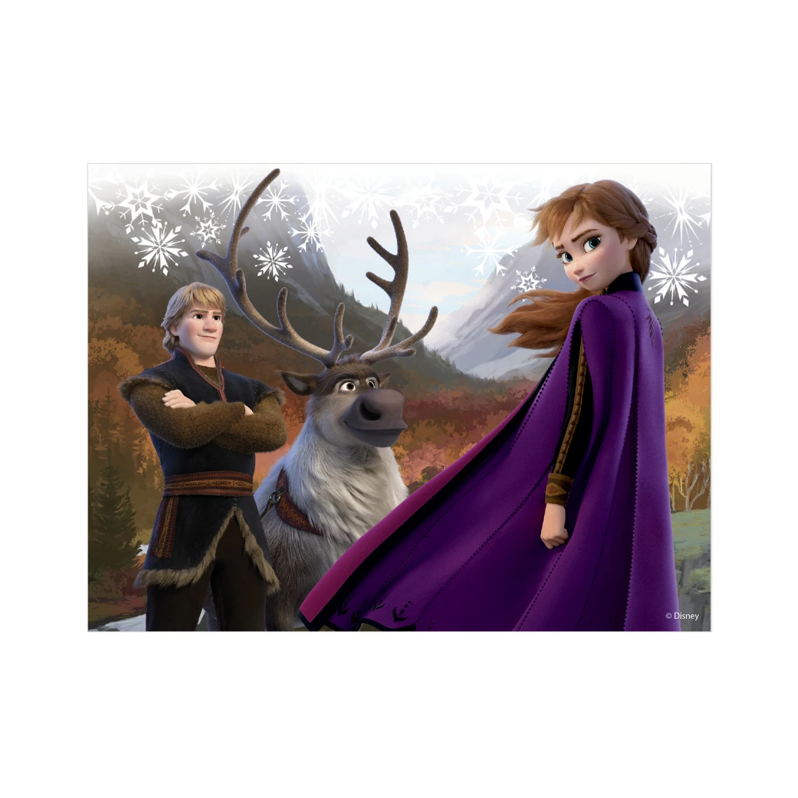 Dřevěné licenční kostky Frozen II – 12 kostek - slide 7