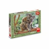 Puzzle koala s mláďátkem 300 xl dílků - slide 2