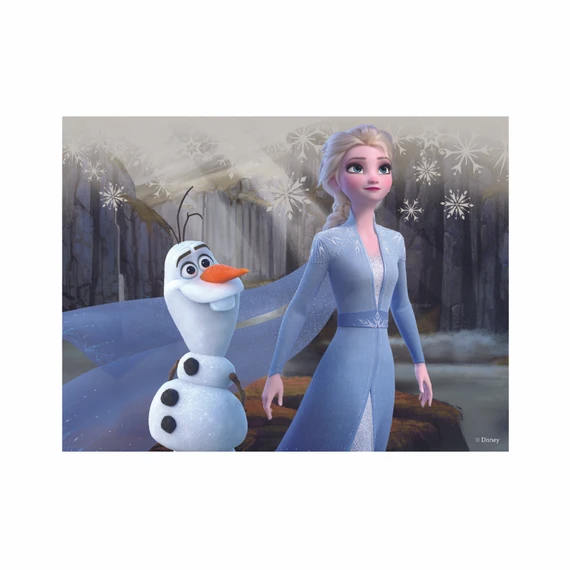 Dřevěné licenční kostky Frozen II – 12 kostek - slide 6