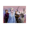 Dřevěné licenční kostky Frozen II – 12 kostek - slide 5