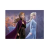 Dřevěné licenční kostky Frozen II – 12 kostek - slide 8