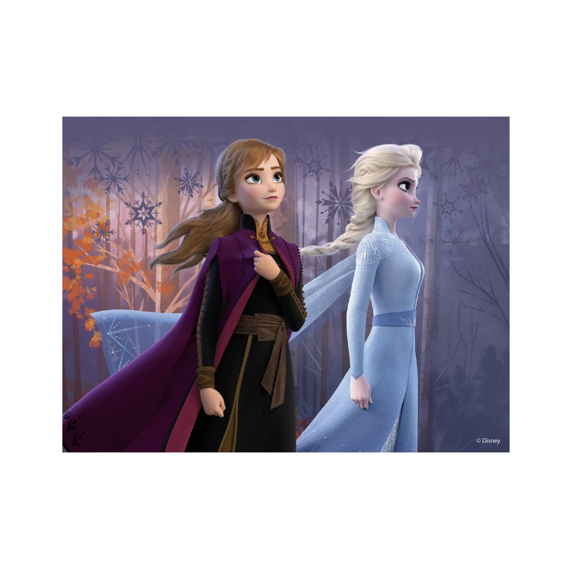 Dřevěné licenční kostky Frozen II – 12 kostek - slide 8