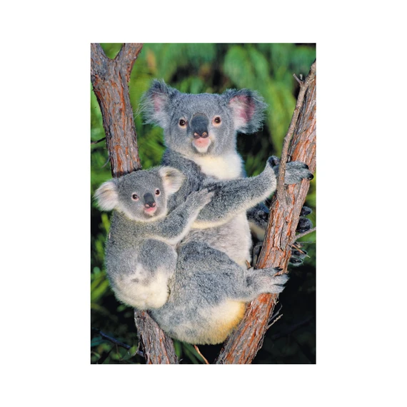 Puzzle Koaly na stromě 500 dílků - slide 3